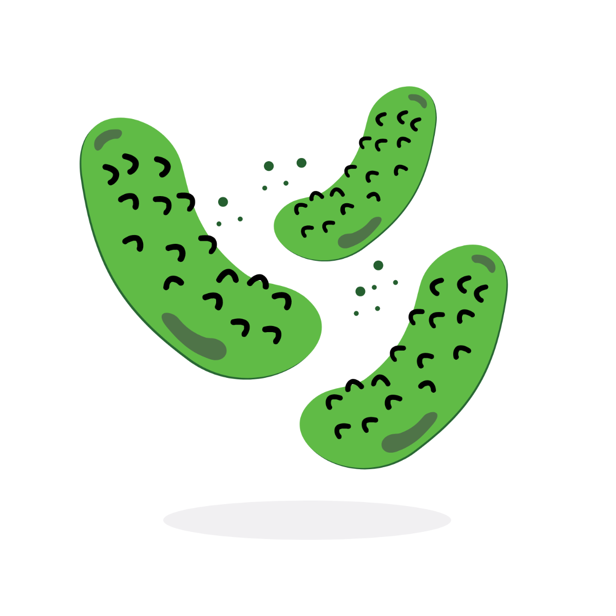 Pickles Vector Template