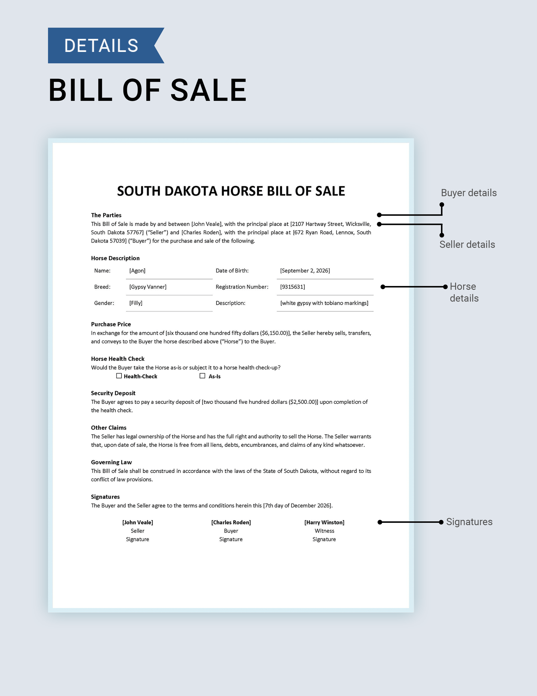 South Dakota Horse Bill of Sale Template