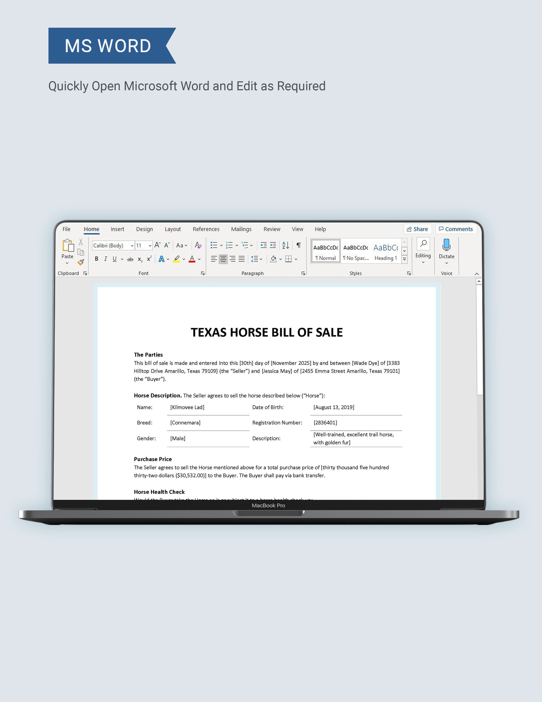 Texas Horse Bill of Sale Template