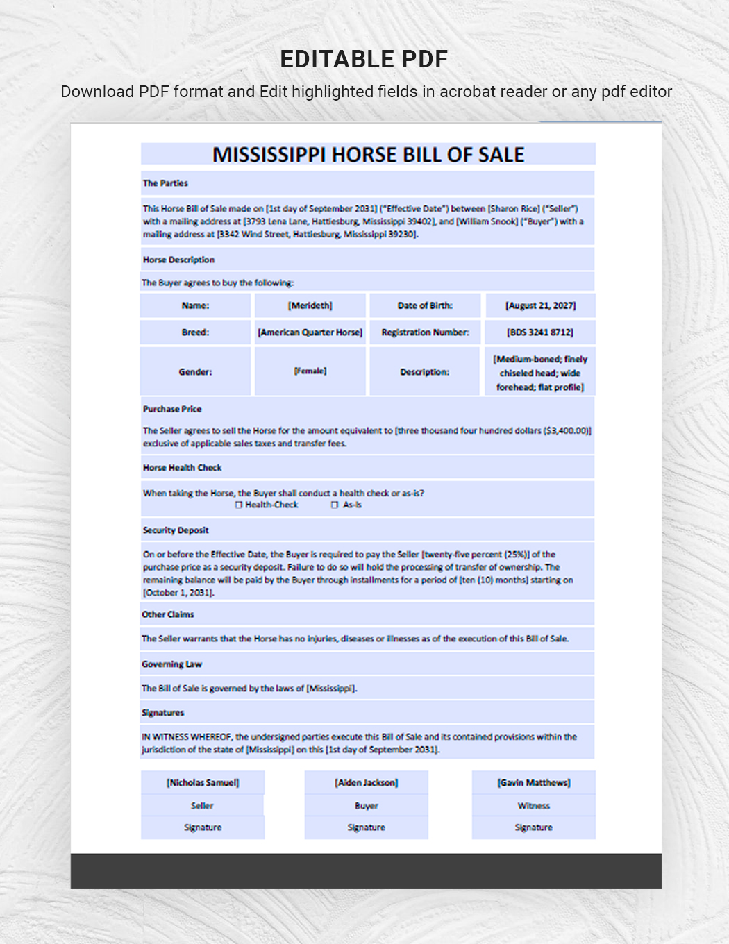 Mississippi Horse Bill of Sale Template