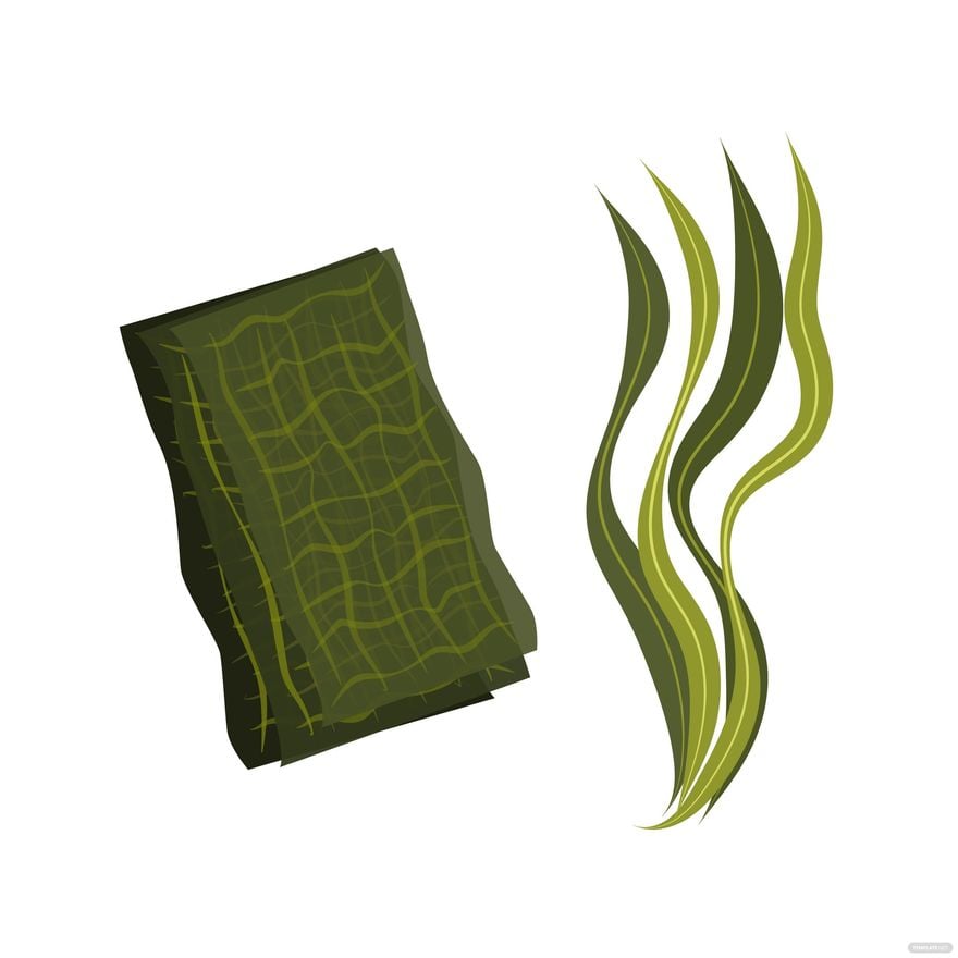 Seaweed Vector in Illustrator, EPS, SVG, JPG, PNG