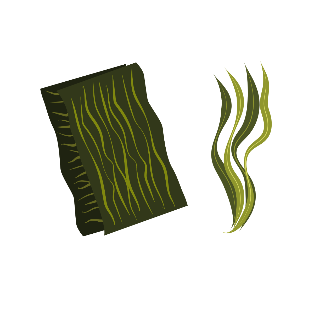 Seaweed Vector Template