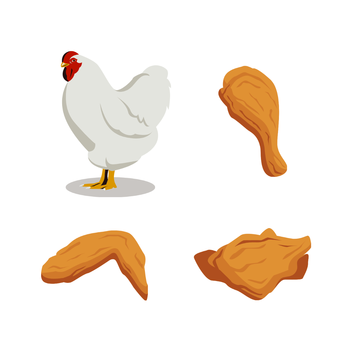 Chicken Vector Template