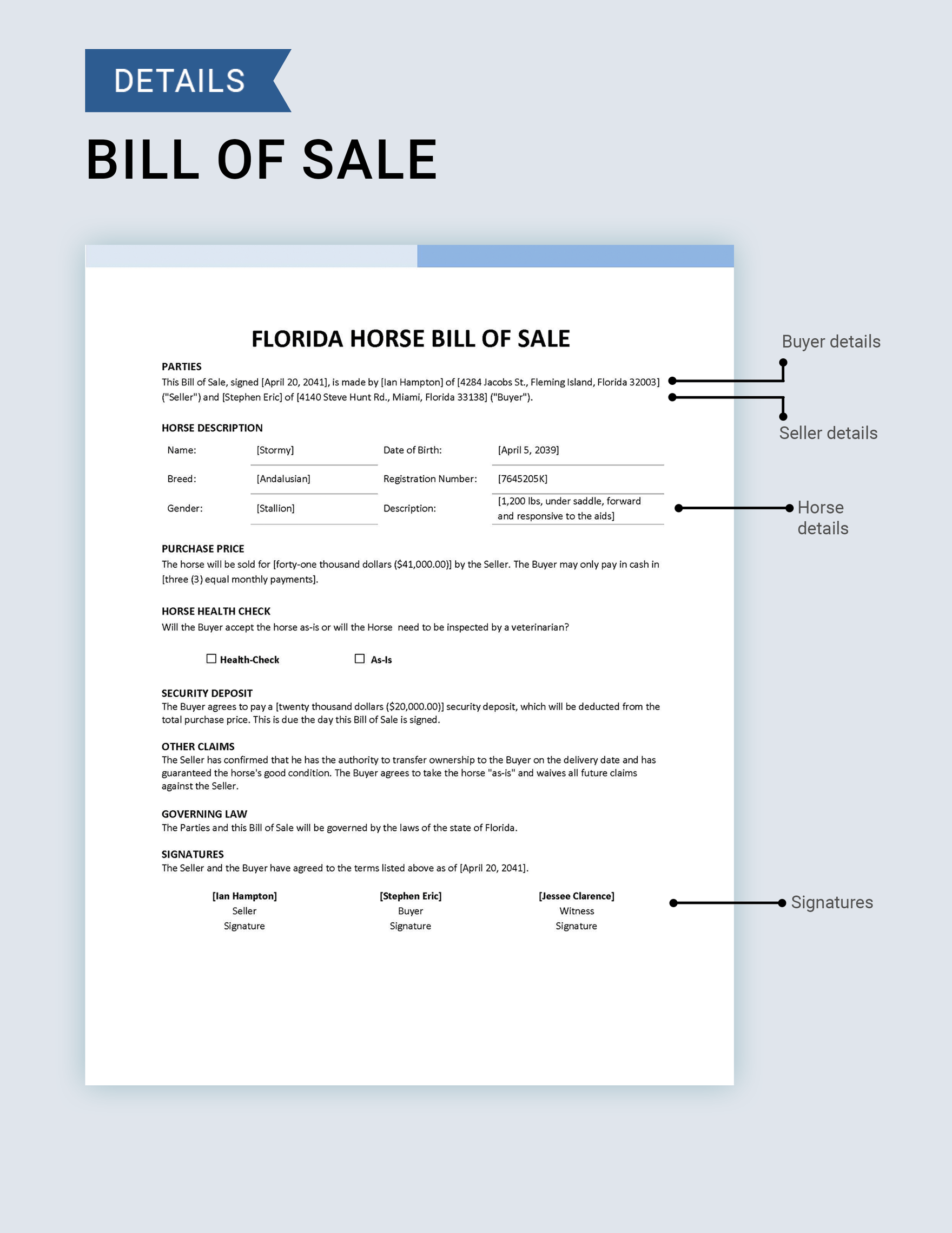 Florida Horse Bill of Sale Template