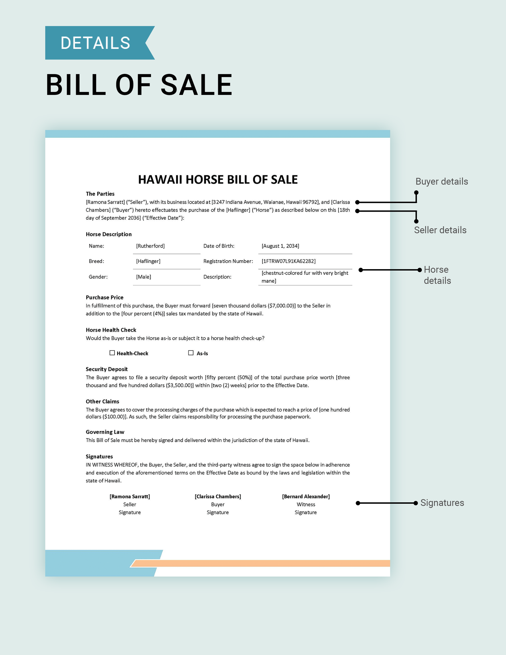 Hawaii Horse Bill of Sale Template