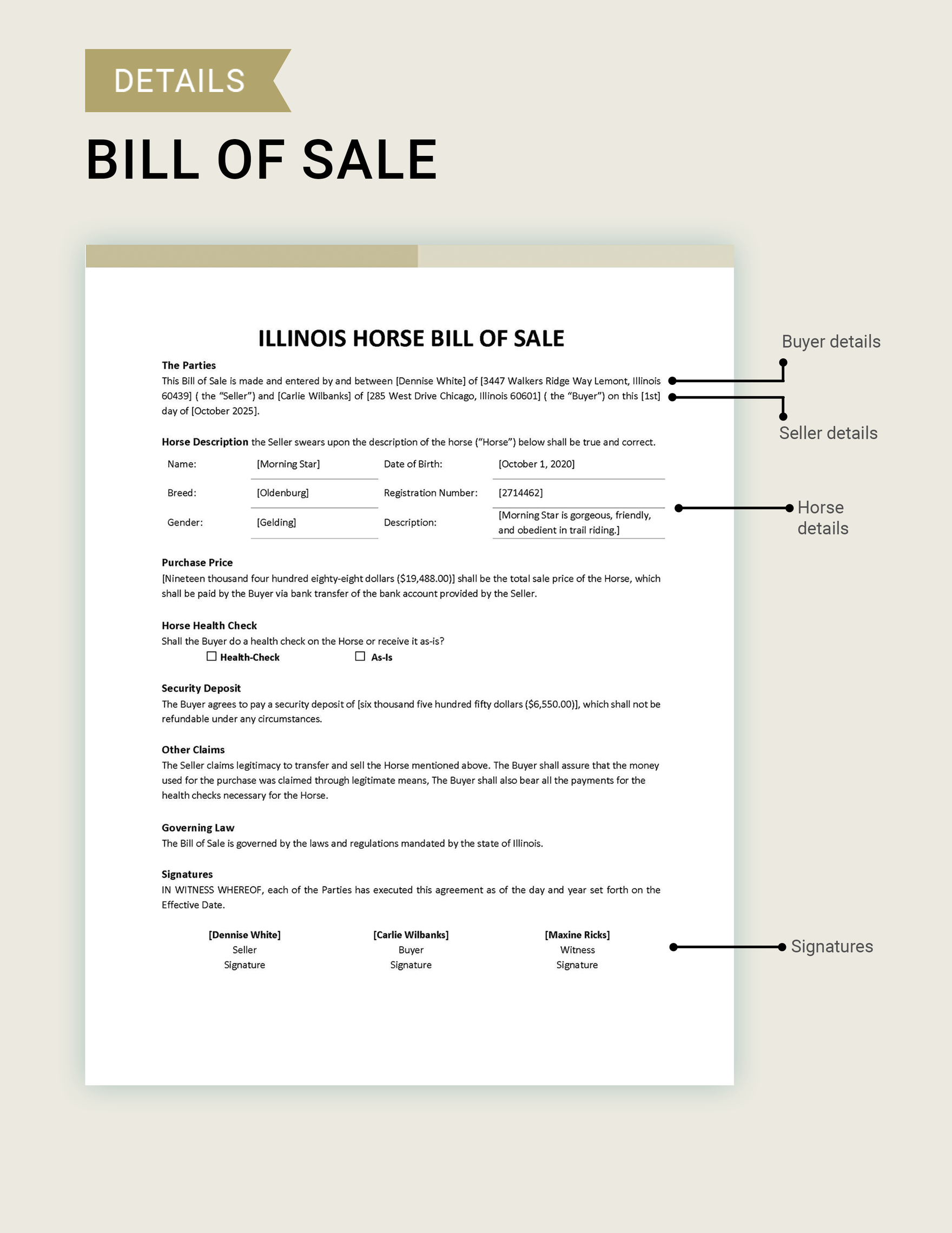 Illinois Horse Bill of Sale Template