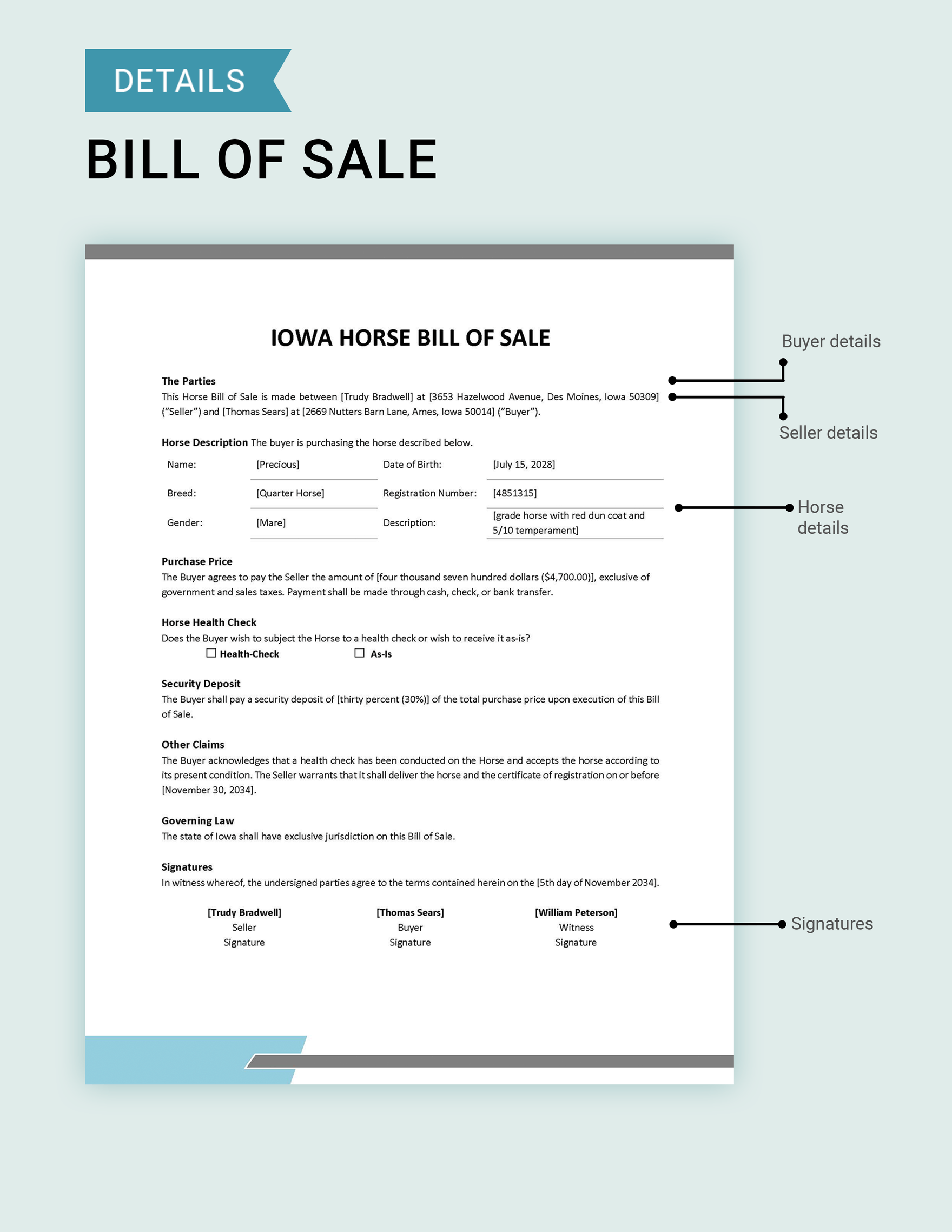 Iowa Horse Bill of Sale Template
