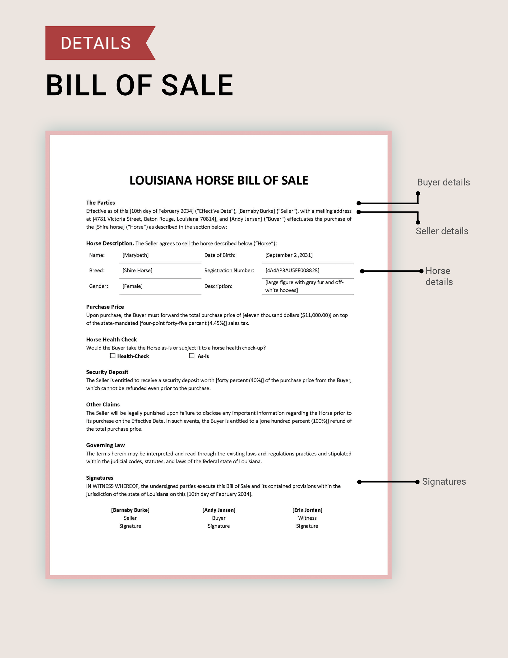 Louisiana Horse Bill of Sale Template