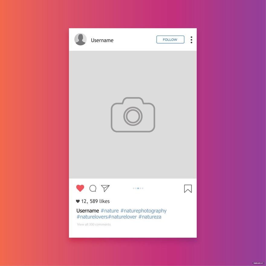 Instagram Photo Frame Vector