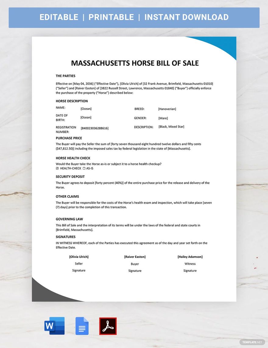 Massachusetts Horse Bill of Sale Template in Word, Google Docs, PDF