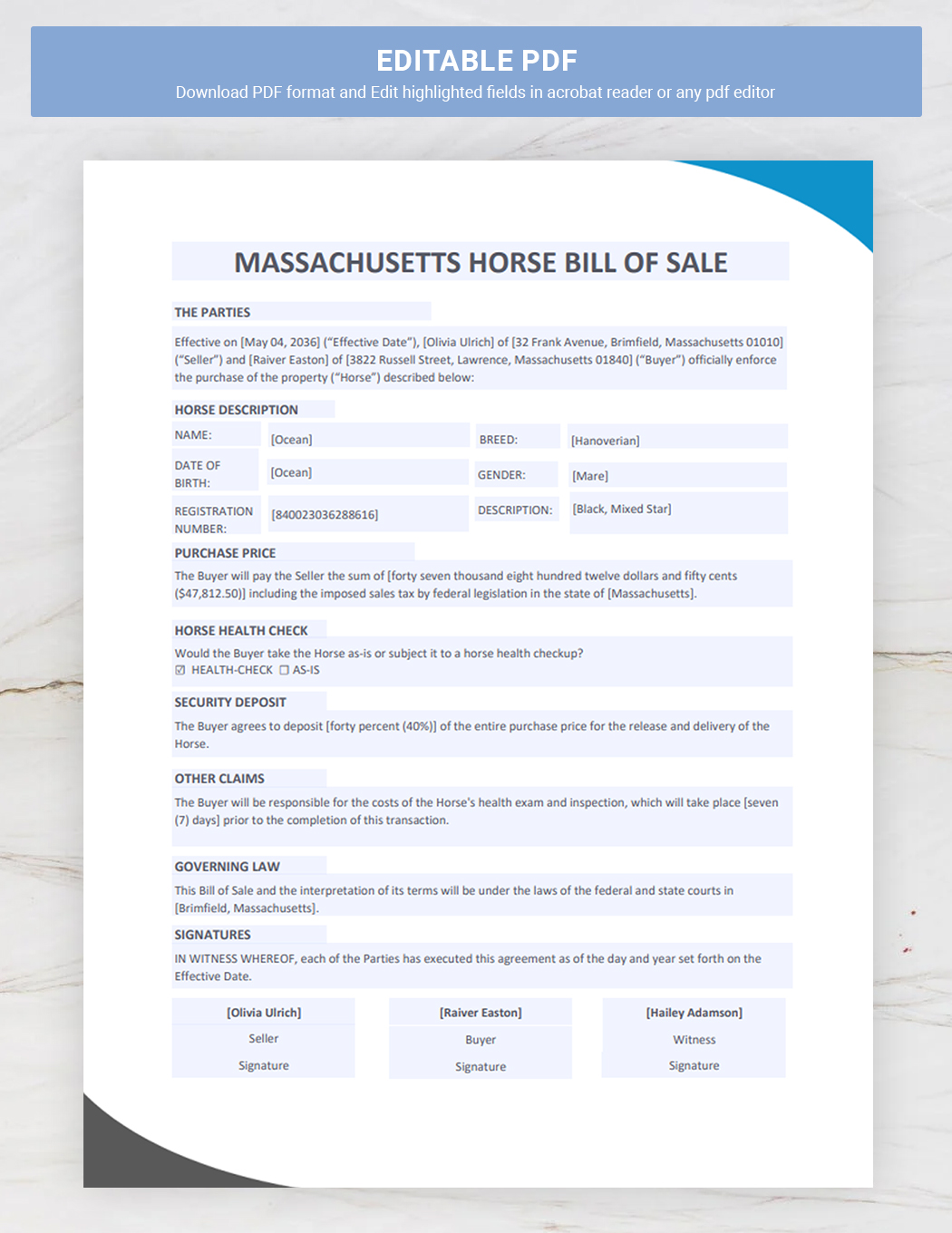 Massachusetts Horse Bill of Sale Template