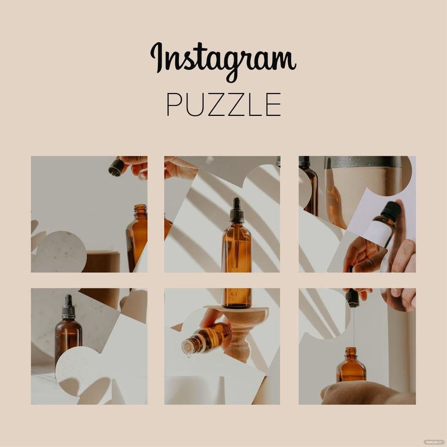 Instagram Puzzle Vector
