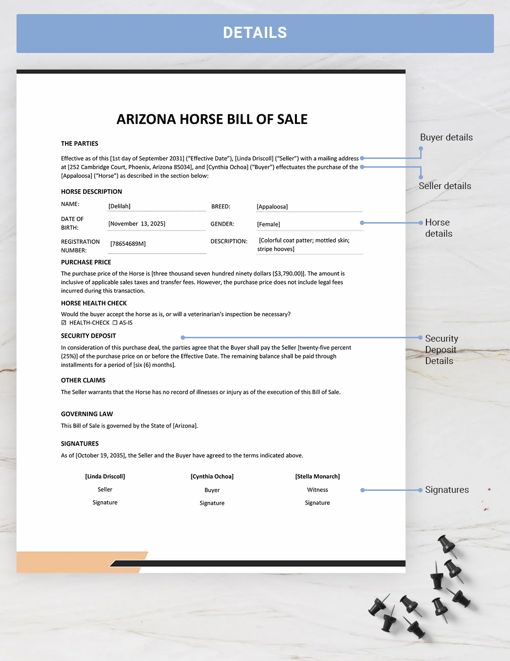 Arizona Horse Bill Of Sale Template