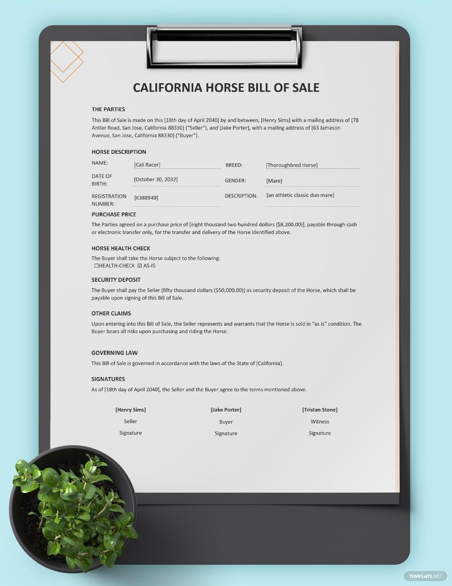 California Horse Bill of Sale Template in Word, Google Docs, PDF