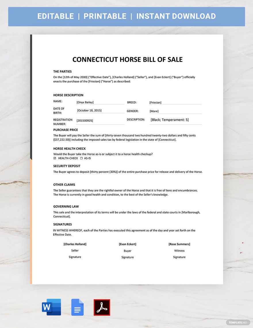 Connecticut Horse Bill of Sale Template in Word, Google Docs, PDF