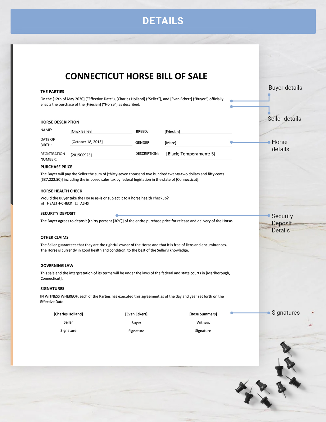 Connecticut Horse Bill of Sale Template