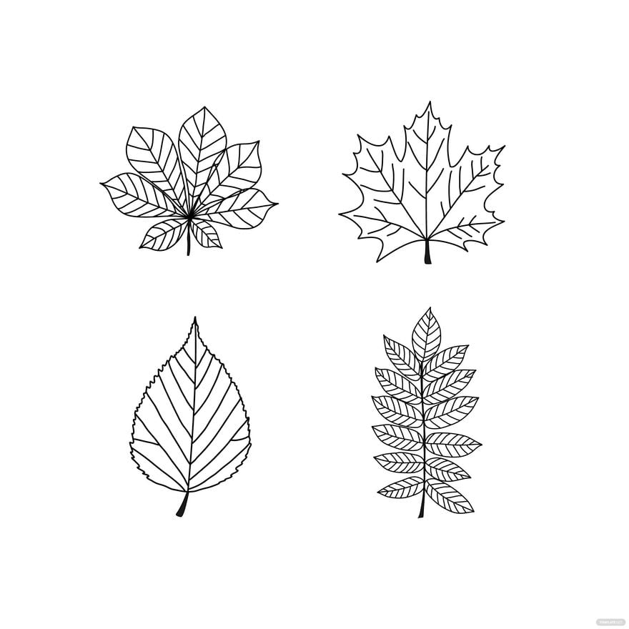 Free Black And White Autumn Leaves Vector