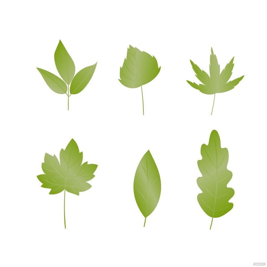 Green Autumn Leaves Vector Template