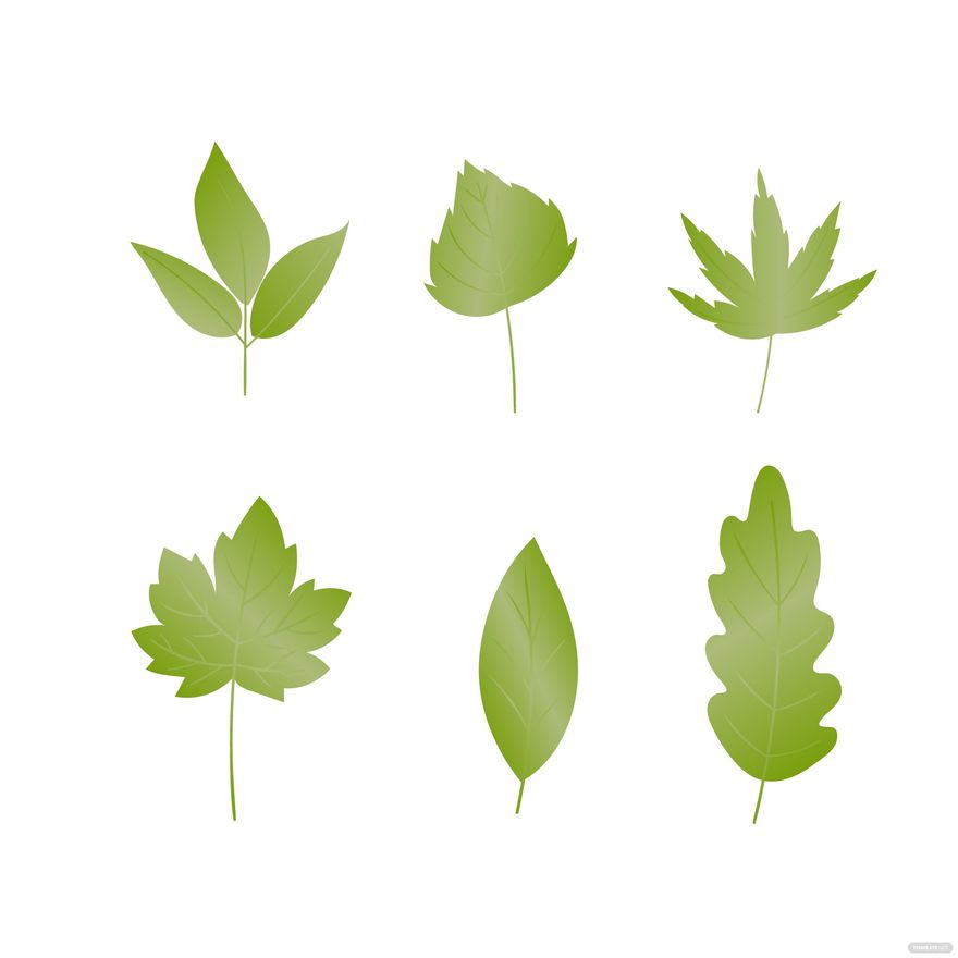 Free Watercolor Leaves Vector - EPS, Illustrator, JPG, PNG, SVG ...