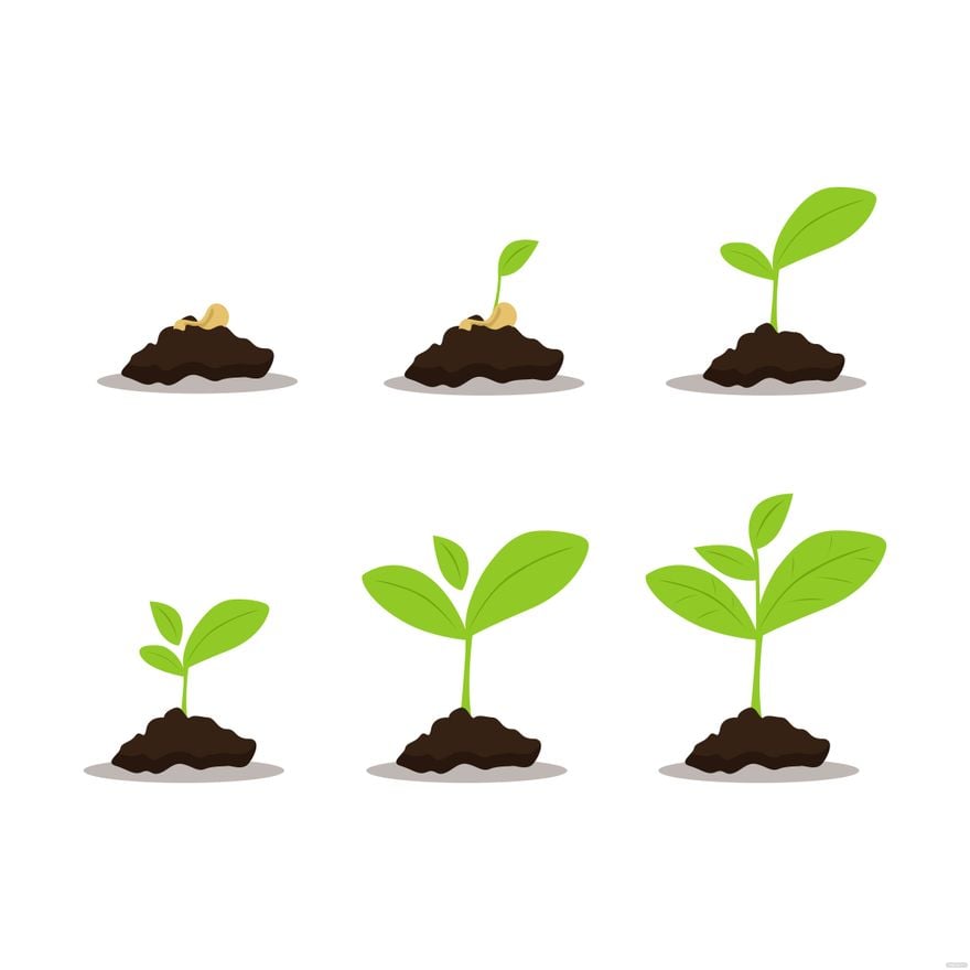 Free Growing Plant Vector