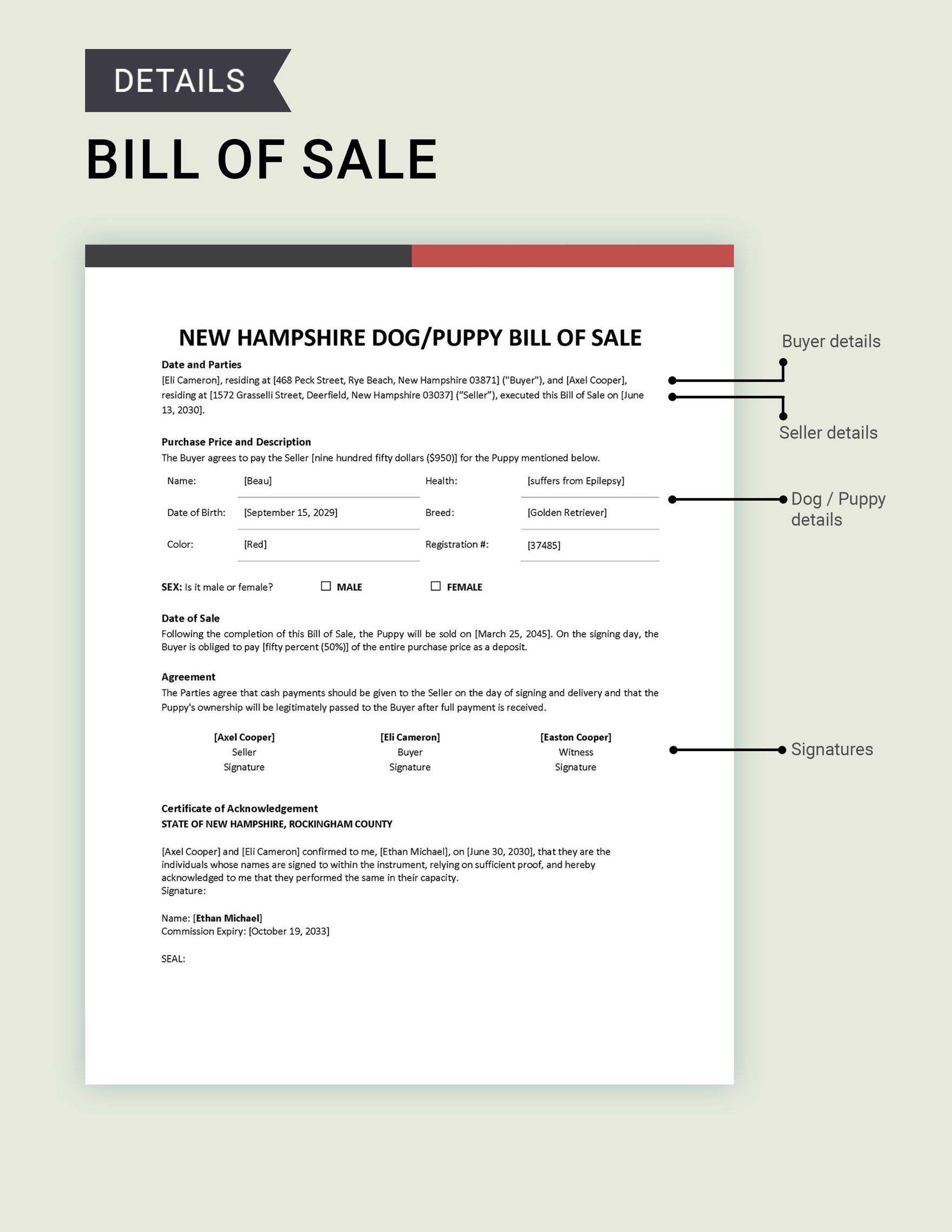 New Hampshire Dog / Puppy Bill of Sale Template