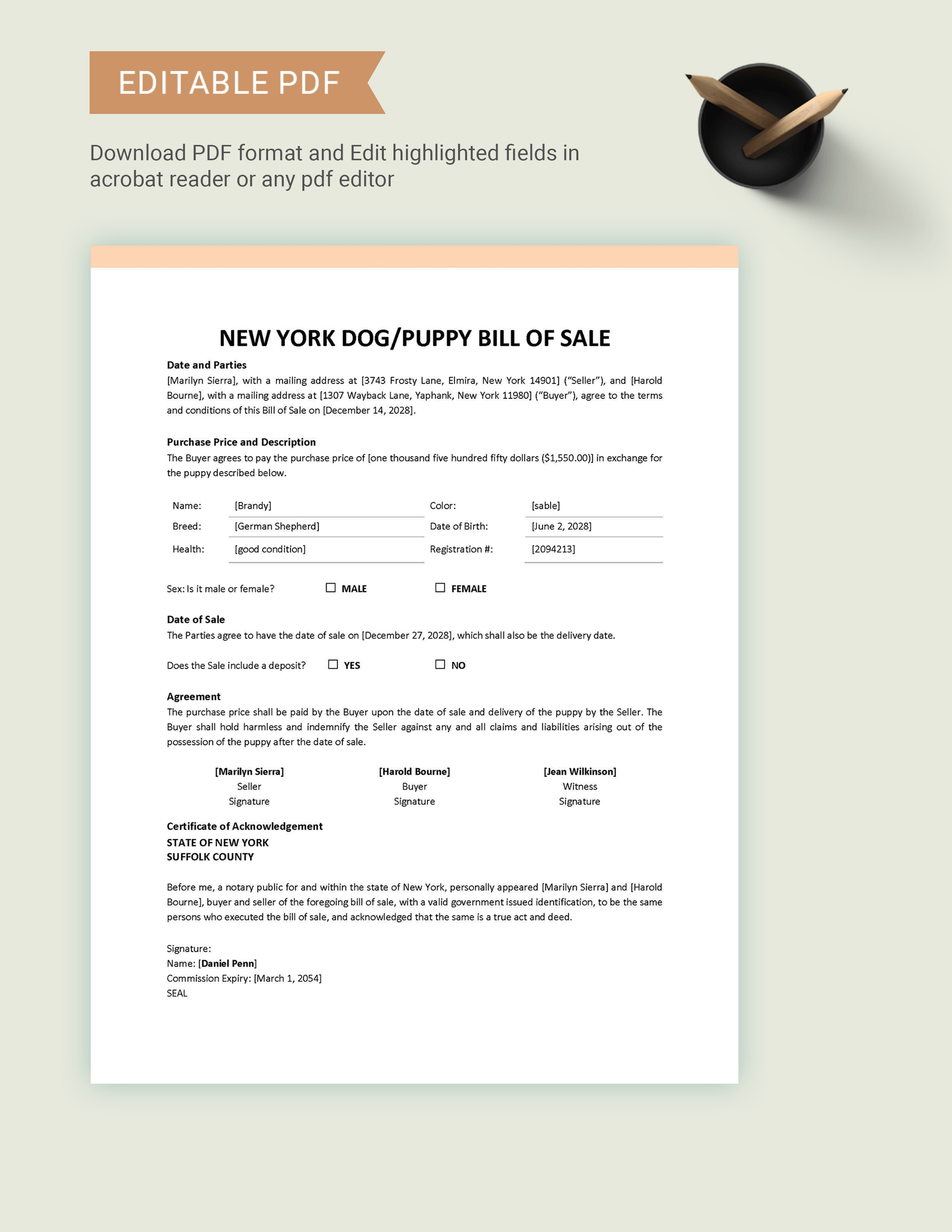 New York Dog / Puppy Bill of Sale Template