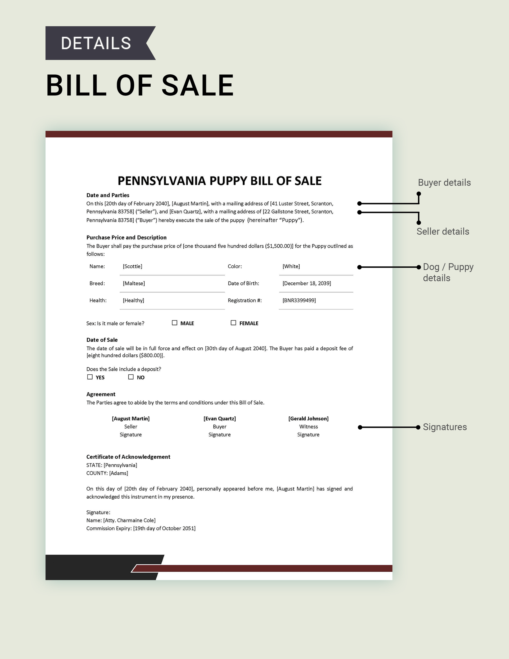 Pennsylvania Dog / Puppy Bill of Sale Template