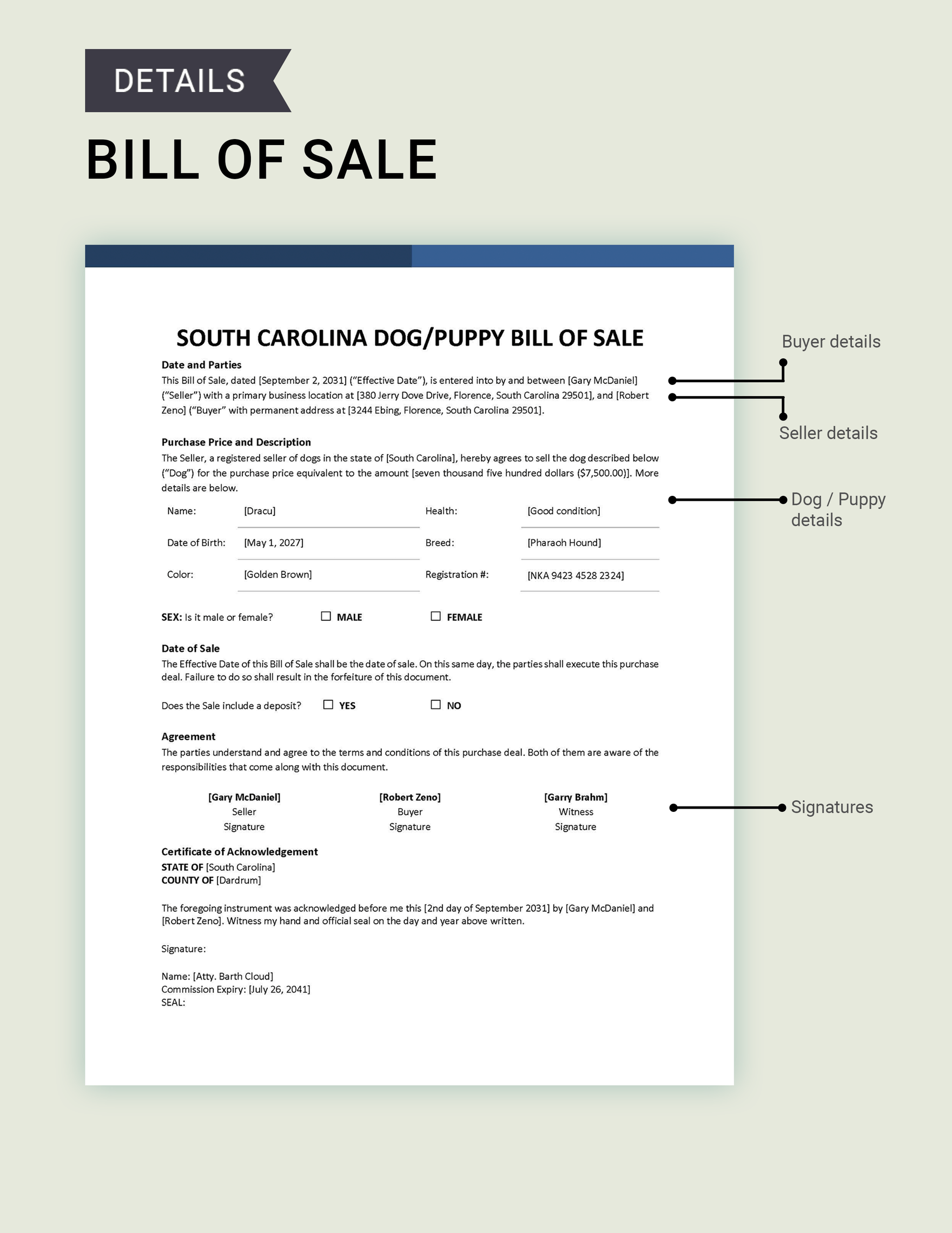 South Carolina Dog / Puppy Bill of Sale Template