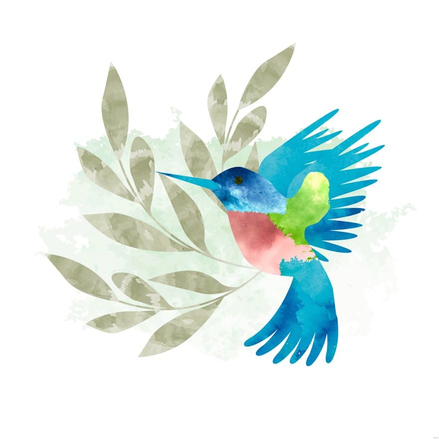 Watercolor Hummingbird Illustration in Illustrator, EPS, SVG, JPG, PNG