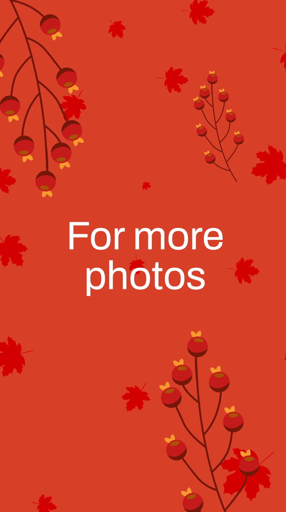 Free Fall Leaves Instagram Story Template to Edit Online