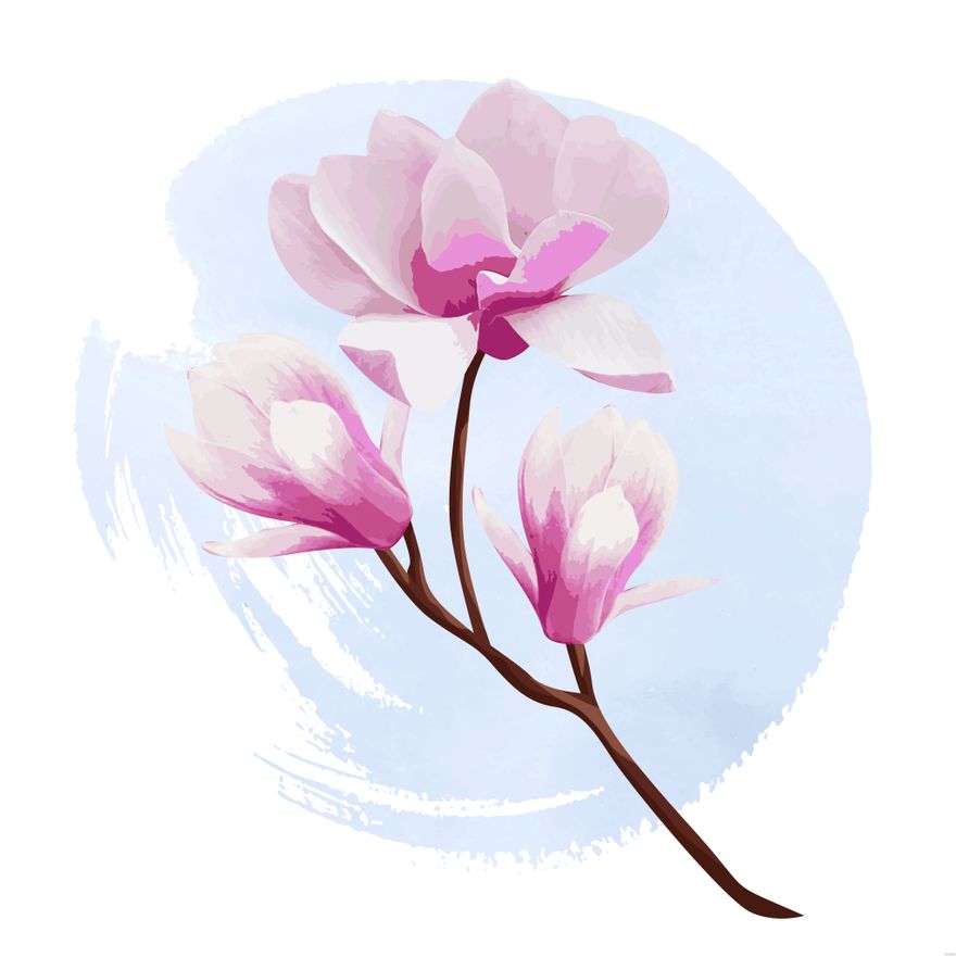 Magnolia Watercolor Illustration in Illustrator, EPS, SVG, JPG, PNG
