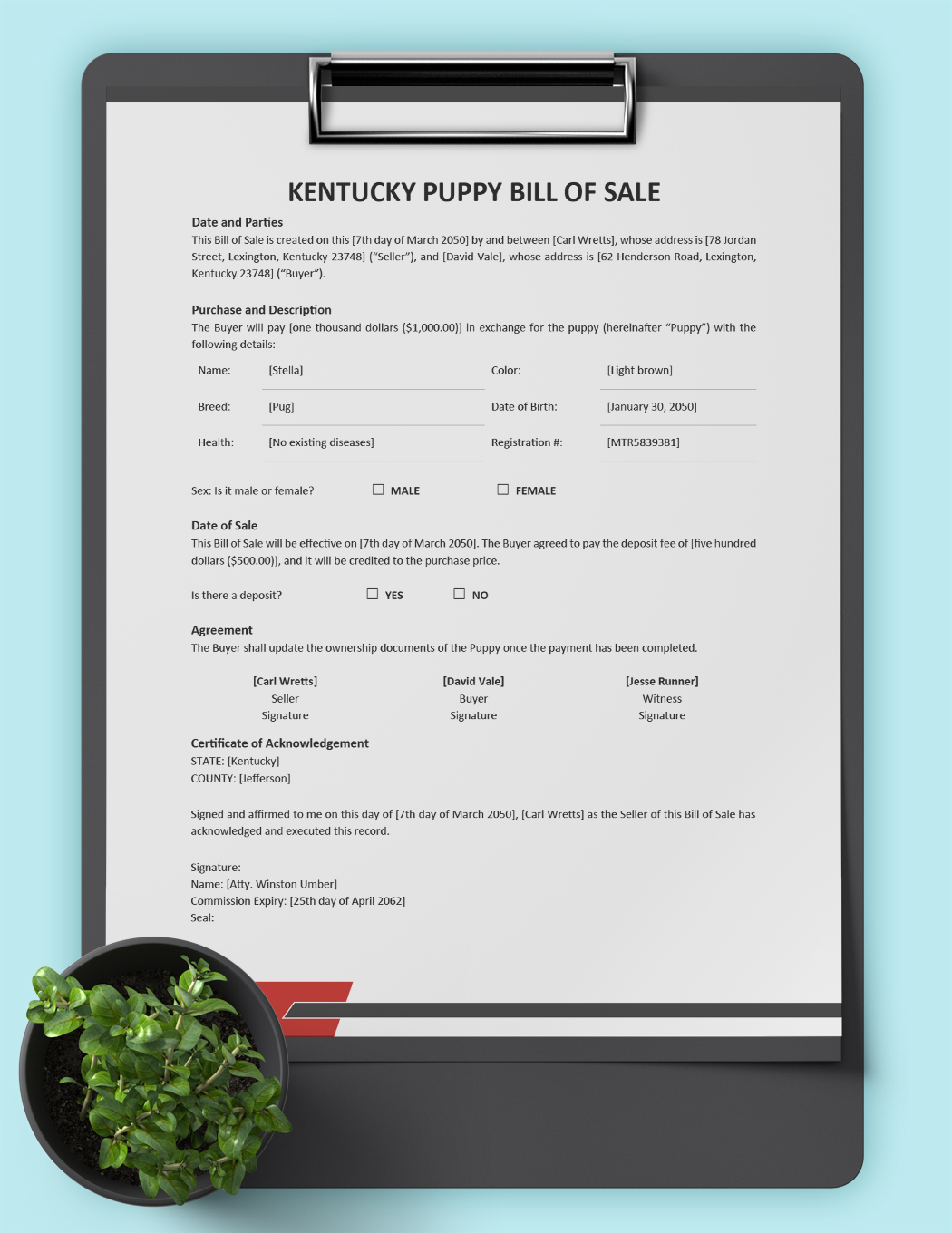 Kentucky Dog / Puppy Bill of Sale Form Template