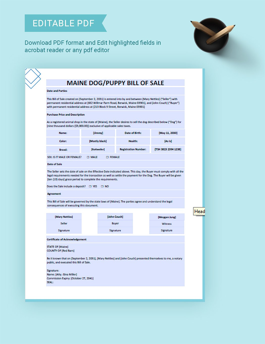 Maine Dog / Puppy Bill of Sale Template