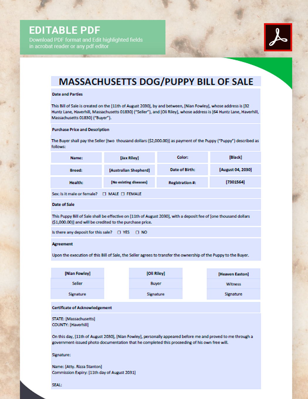 Massachusetts Dog / Puppy Bill of Sale Template
