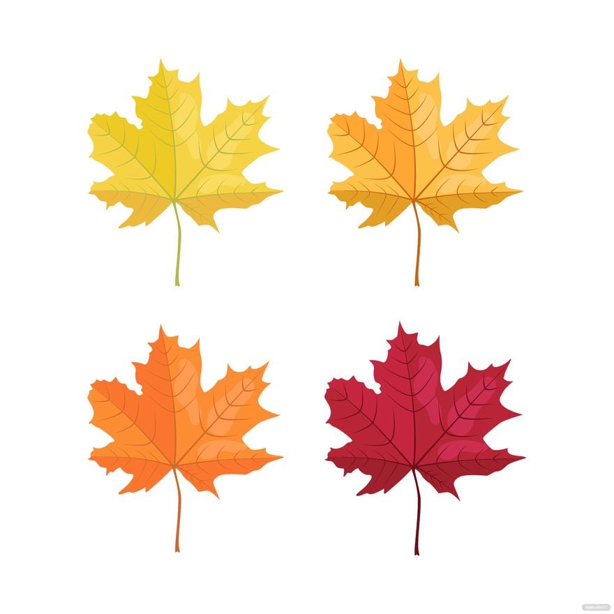 Autumn Maple Leaf Vector in Illustrator, EPS, SVG, JPG, PNG
