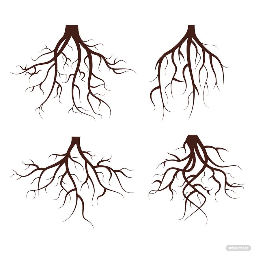 Free Plant Roots Vector