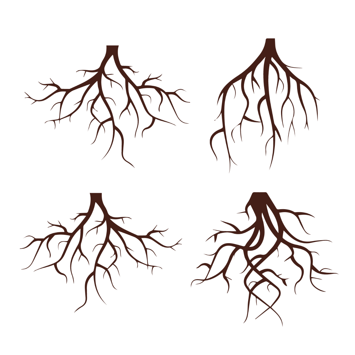 Free Plant Roots Vector Template