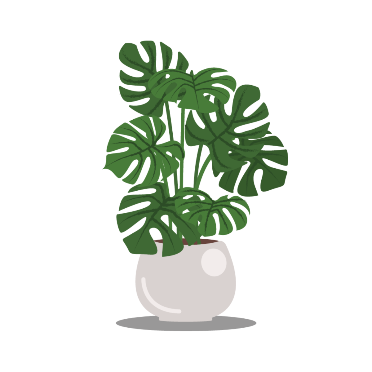 Free Monstera Plant Vector Template