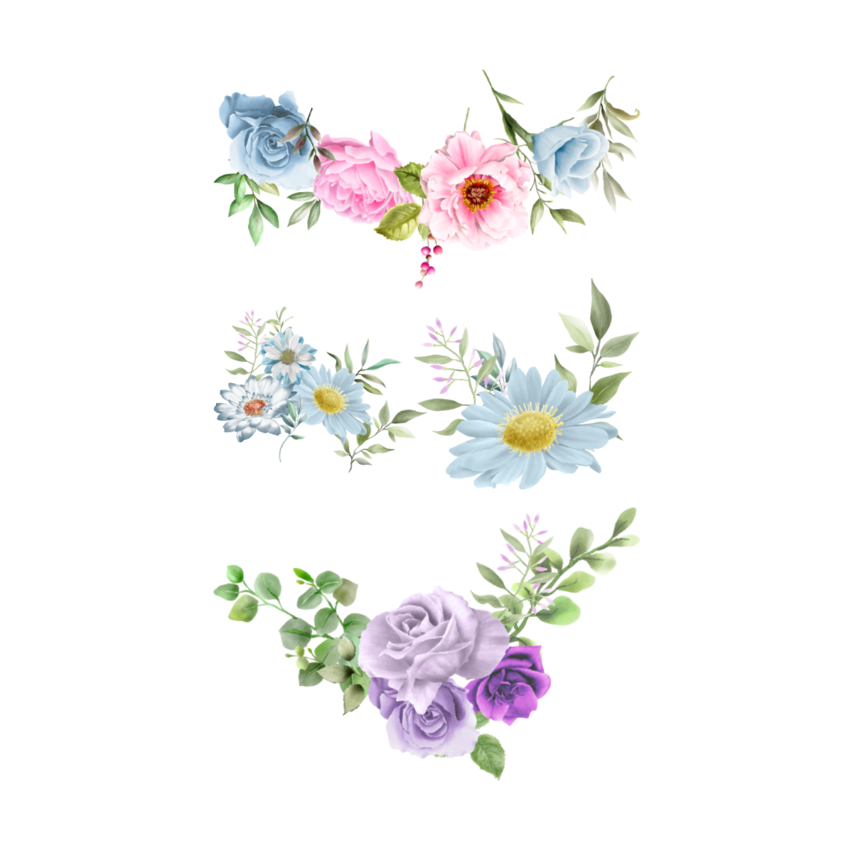 Botanical Watercolor Illustrations Template