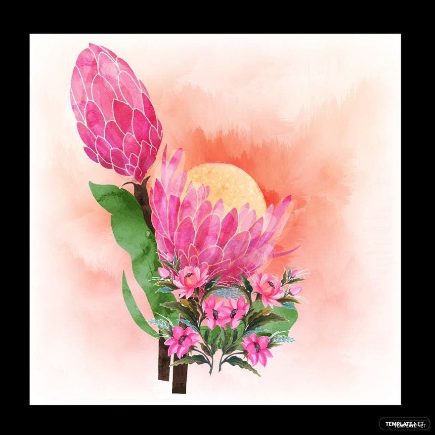 Free Flower Watercolor Illustrations