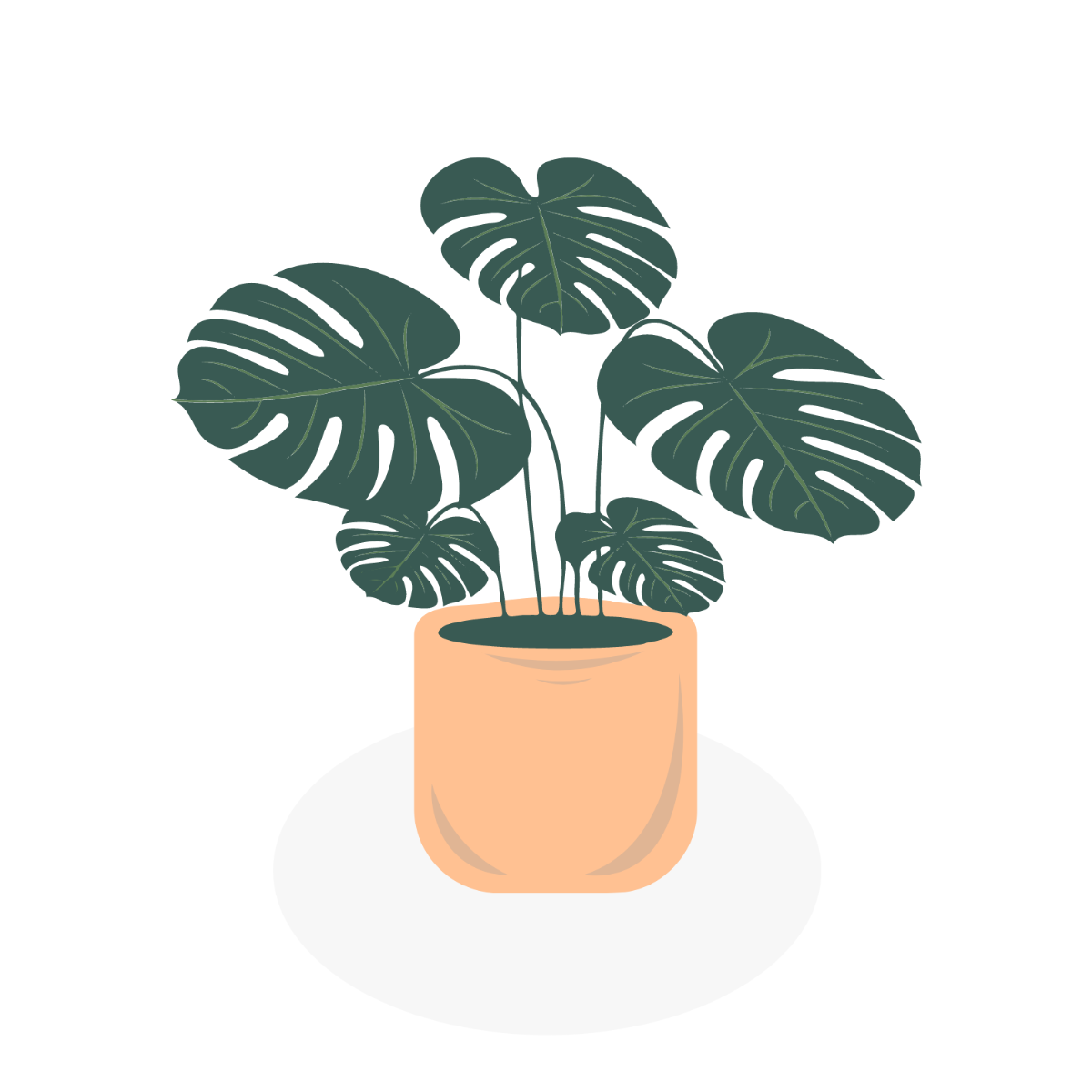 Free Tropical Plant Vector Template