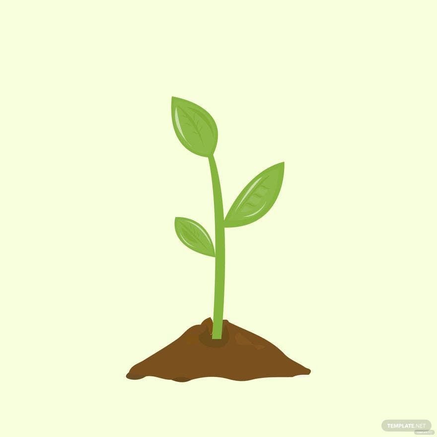 Sprout Plant Vector