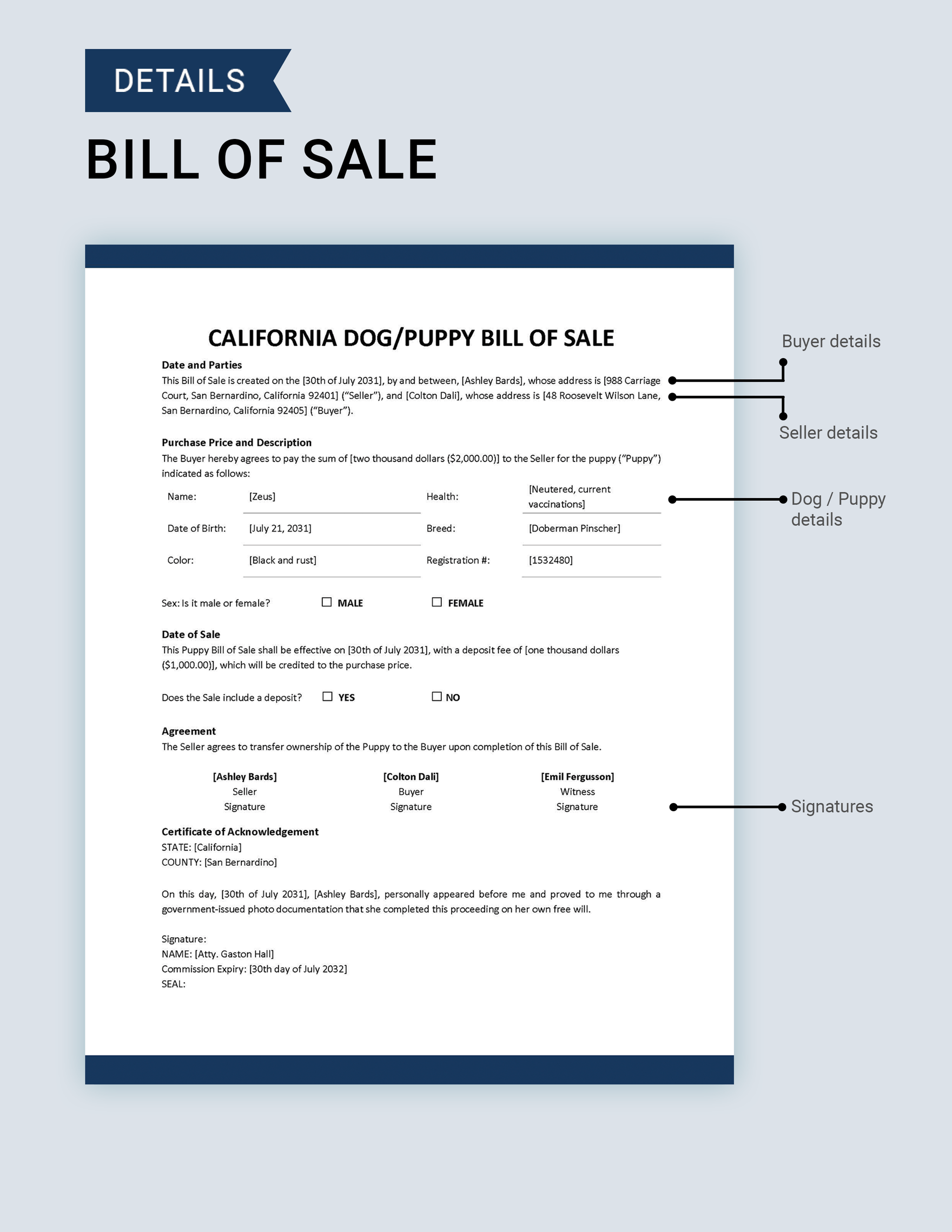 California Dog / Puppy Bill of Sale Template