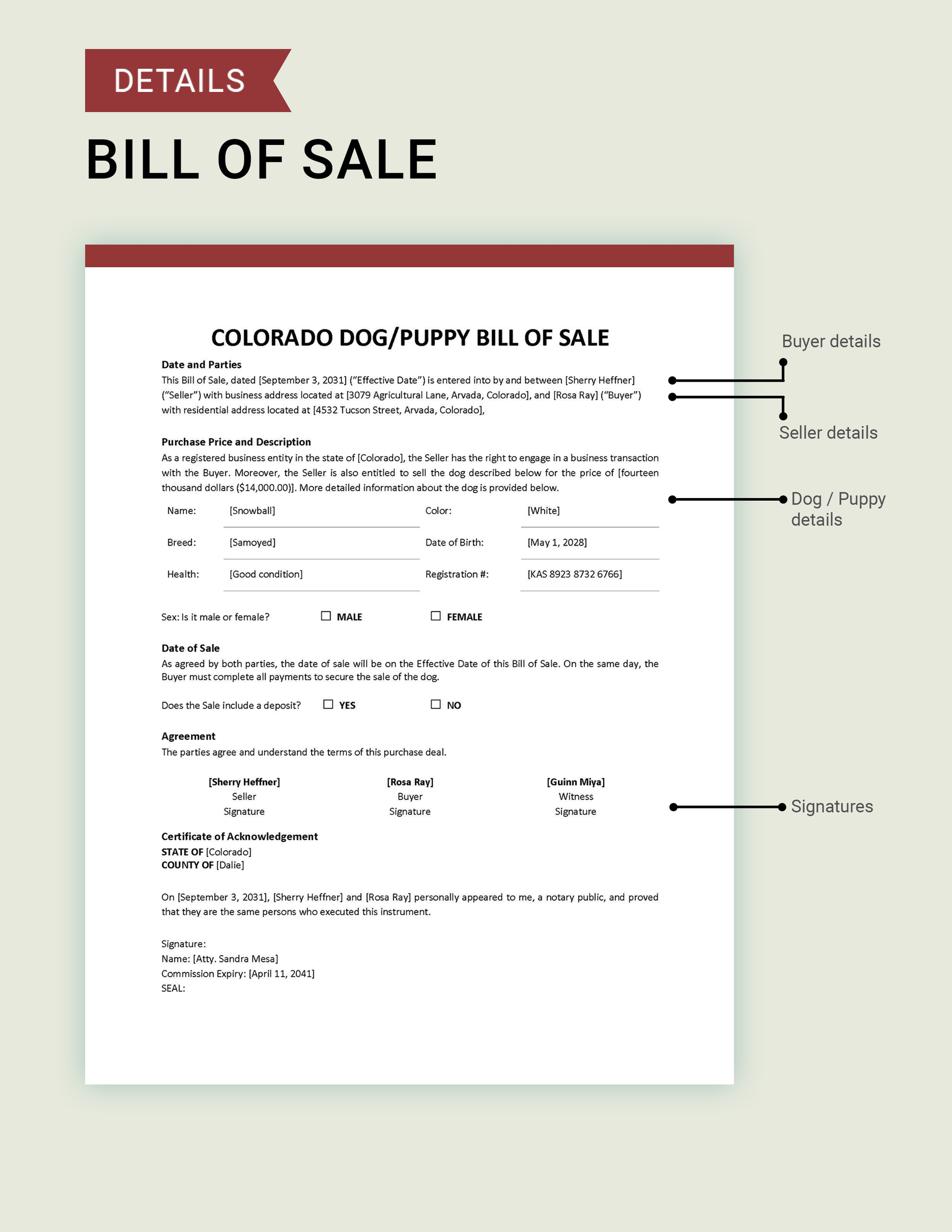Colorado Dog / Puppy Bill of Sale Template