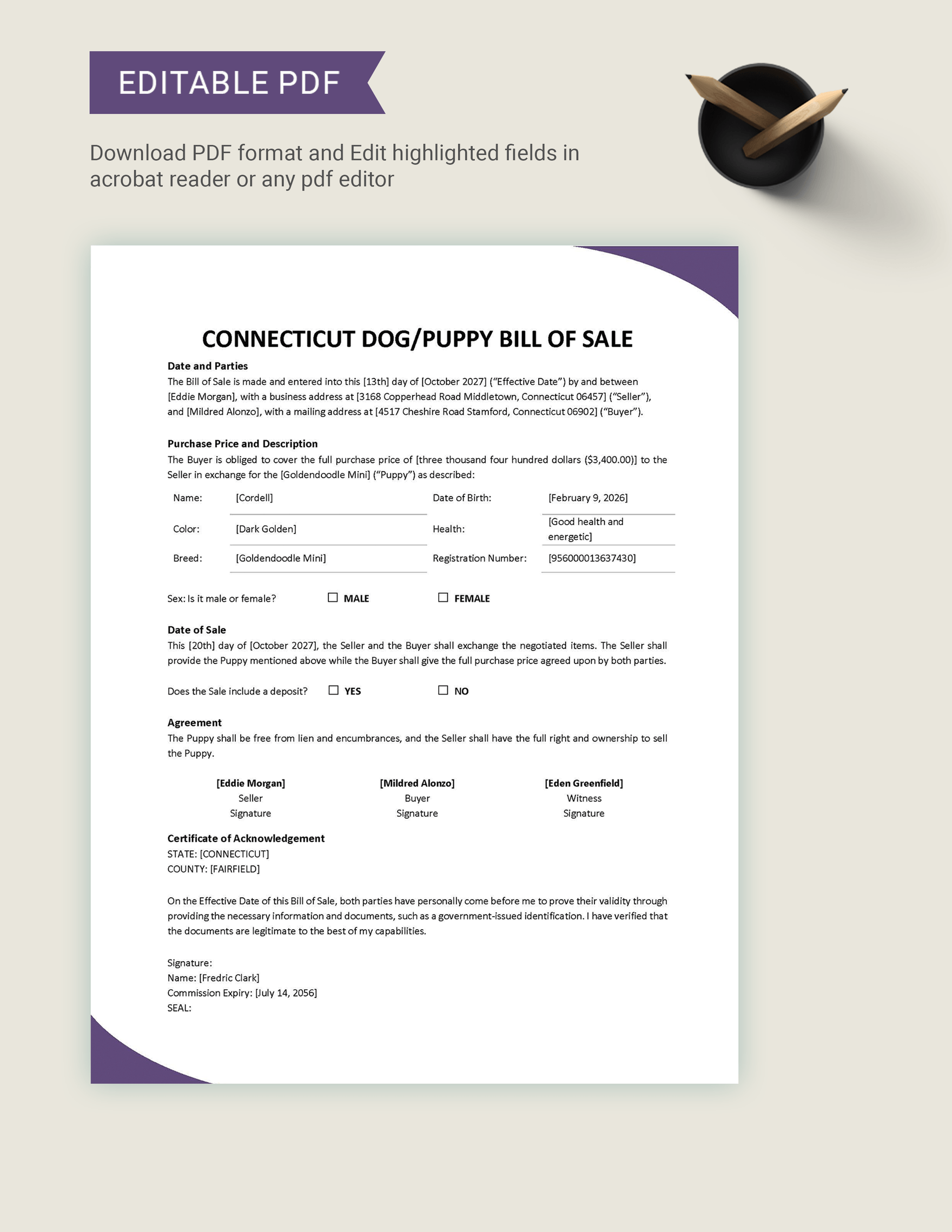 Connecticut Dog / Puppy Bill of Sale Template