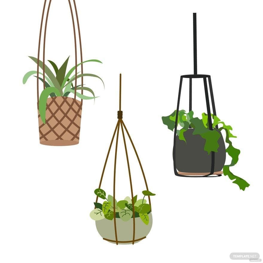 Free Hanging Plant Vector