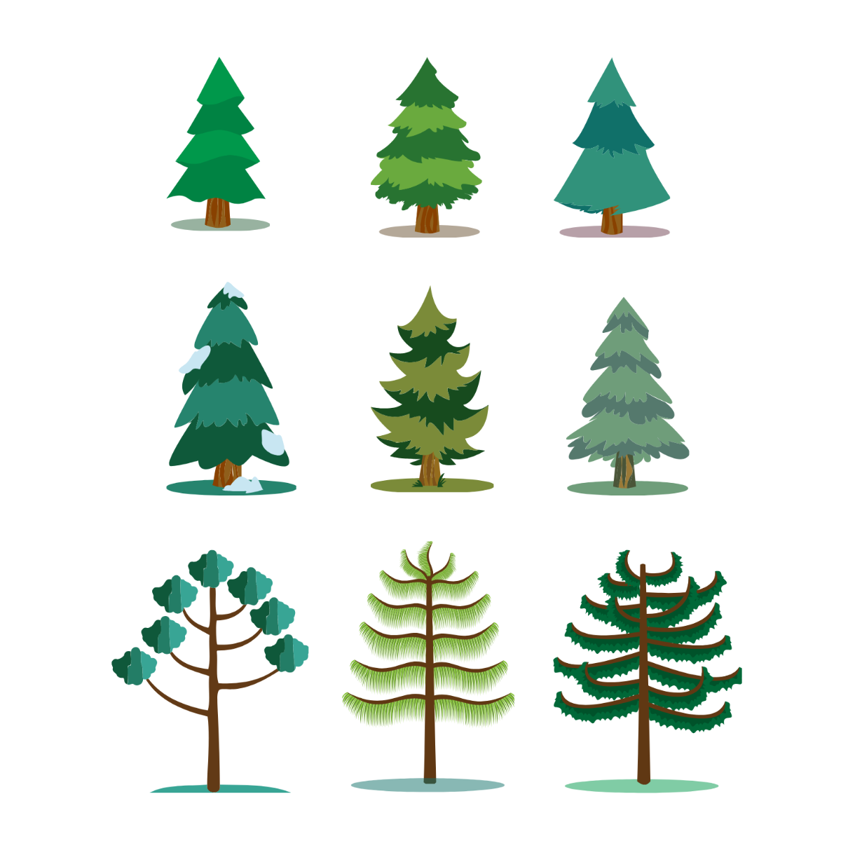 Free Evergreen Tree Vector Template