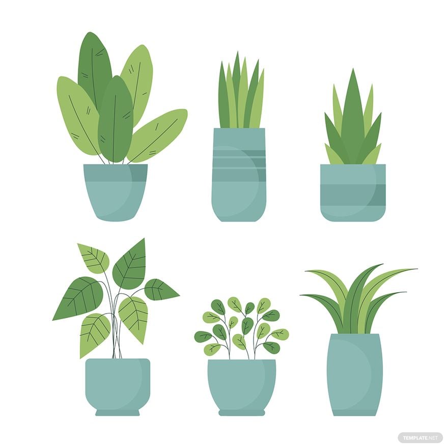 Free House Plant Vector