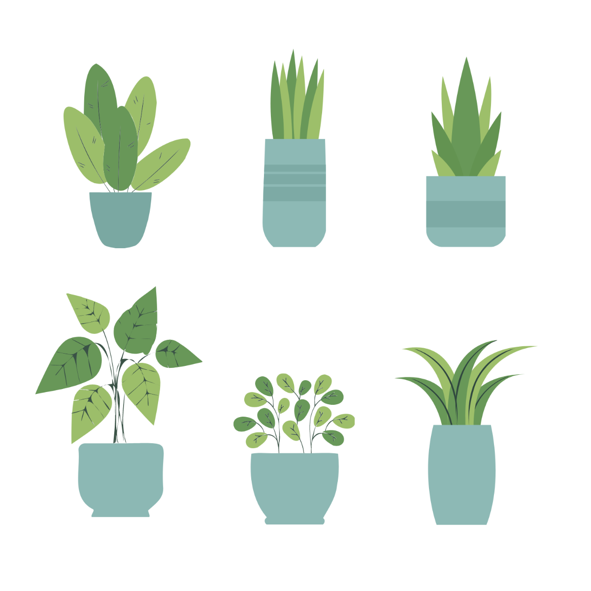 House Plant Vector Template