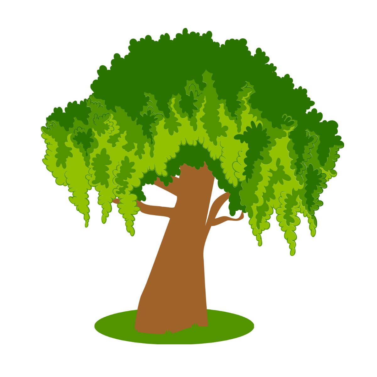 Willow Tree Vector Template